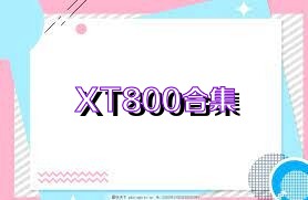 XT800合集