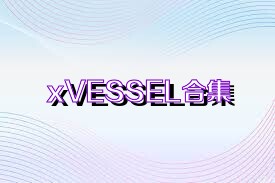 xVESSEL合集