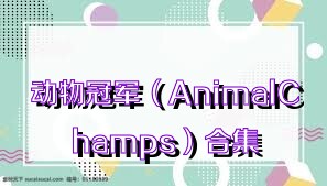 动物冠军（AnimalChamps）合集