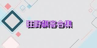 狂野飙客合集