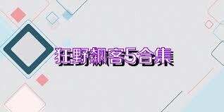 狂野飙客5合集