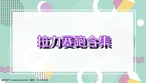 拉力赛跑合集