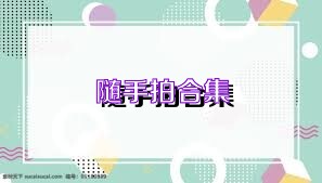 随手拍合集