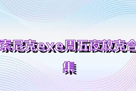 索尼克exe周五夜放克合集