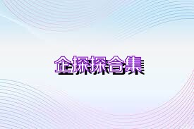 企探探合集