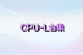 CPU-L合集