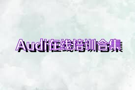 Audi在线培训合集