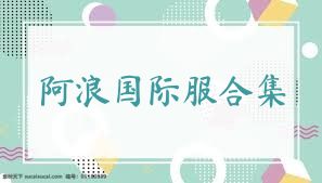 阿浪国际服合集