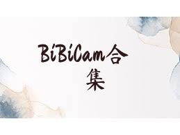 BiBiCam合集