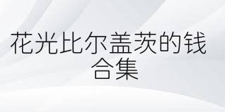 花光比尔盖茨的钱合集