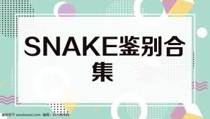 SNAKE鉴别合集