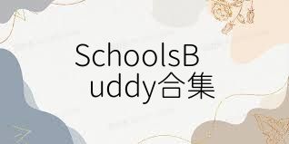 SchoolsBuddy合集