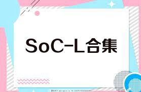 SoC-L合集