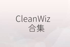 CleanWiz合集