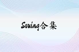 Souing合集