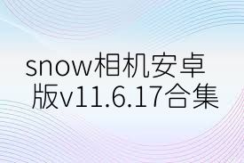 snow相机安卓版v11.6.17合集