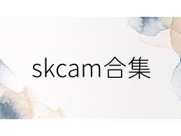 skcam合集