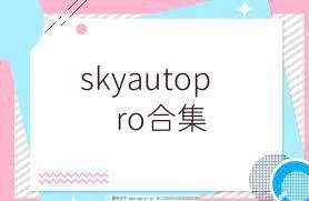 skyautopro合集