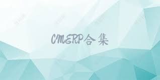 CMERP合集