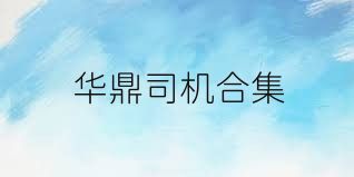 华鼎司机合集