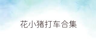 花小猪打车合集