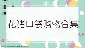 花猪口袋购物合集