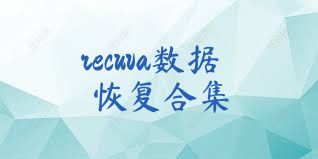 recuva数据恢复合集