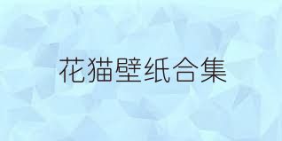 花猫壁纸合集
