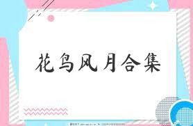 花鸟风月合集
