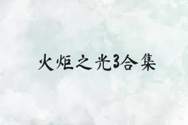 火炬之光3合集