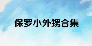 保罗小外甥合集
