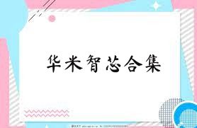 华米智芯合集