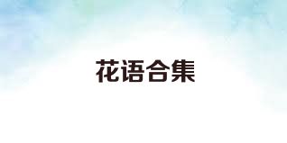 花语合集