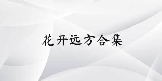 花开远方合集