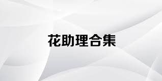 花助理合集