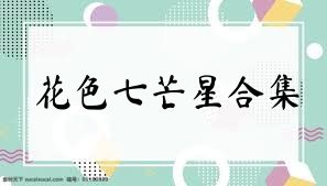 花色七芒星合集