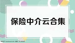 保险中介云合集