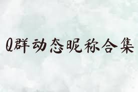 Q群动态昵称合集