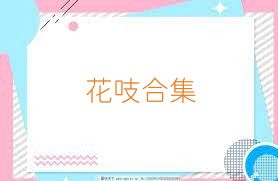 花吱合集