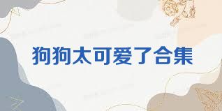狗狗太可爱了合集