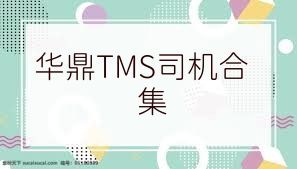 华鼎TMS司机合集