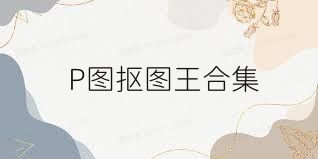 P图抠图王合集