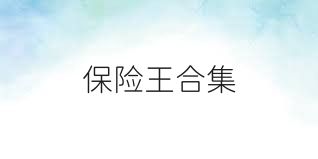 保险王合集