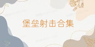 堡垒射击合集