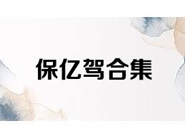 保亿驾合集