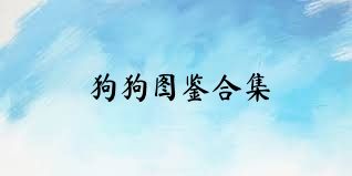 狗狗图鉴合集