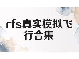 rfs真实模拟飞行合集
