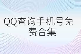 QQ查询手机号免费合集