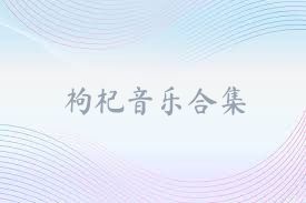 枸杞音乐合集