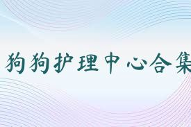 狗狗护理中心合集